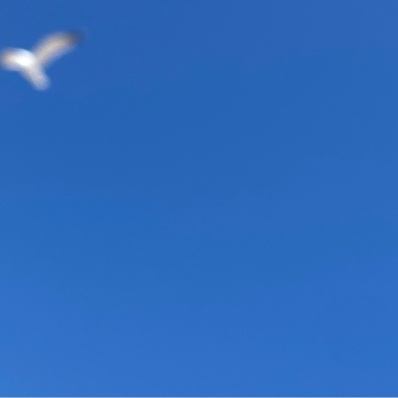 Meet your Posher, Starkey - Picture 1 of 1